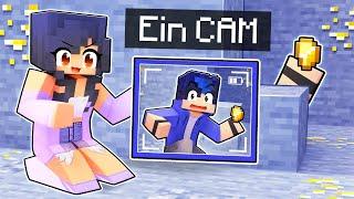 Using CAMERAS To SPY On My Friends In Minecraft
