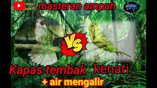 Masteran cucak ijo dan murai batu  apalagi di sertai gemerimicik air mengalir ....