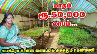 ஒரு கிலோ ரூ.1000 முதல் ரூ.5000 வரை  Micro Greens வளர்ப்பில் இவ்வளவு லாபமா?