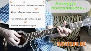 Тима Белорусских - Витаминка. Легкие аккорды без баррэ слова разбор  Песни под гитару