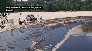 Singapore’s Sentosa Island Beaches Impacted By Oil Spill