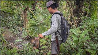 5 Hari berburu dihutan rawa gunung dan sungai #KOOKIKO