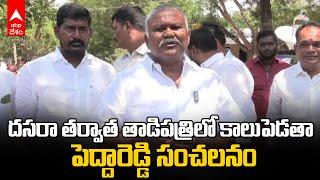 Kethireddy Peddareddy Comments  తాడిపత్రి మాజీ ఎమ్మెల్యే కేతిరెడ్డి పెద్దారెడ్డి