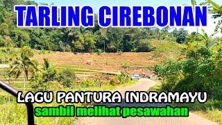 TARLING CIREBONA PANTURA INDRAMAYU ENAK DIDENGAR FULL BASS 2024