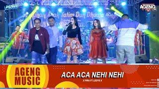 Aca Aca Nehi Nehi Fira A And Ledys A Ft Ageng Music Live Suko Wringinanom Gresik