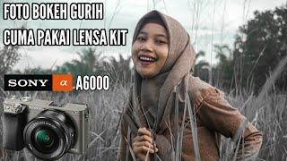 TIPS FOTO BOKEH PAKAI LENSA KIT SONY A6000 + ADOBE LIGHT ROOM