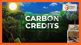 The Explainer The carbon credits trade broken down