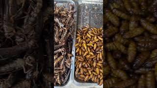 Eat Bug Worm and Insect Street Food in China Eating Insects  #shorts