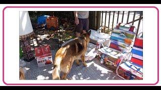 HUGE CURBSIDE SHOPPING SCORE AFTER A RICH TOWN FINISHED ITS YEARLY TOWN-WIDE YARD SALE EXTRAVAGANZA