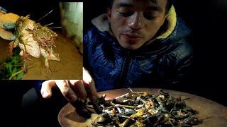 Catch and roasting frogs over the fire eating delicious  Chimong