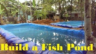 How to build a fish pond  Fish farming in Backyard  Fish tank