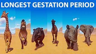 6 Animals With the Longest Gestation Period Speed Races in Planet Zoo included Elephant Horse