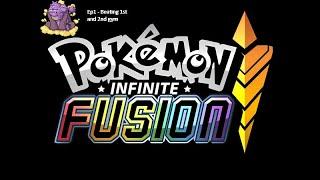 Playing Pokemon Infinite Fusion  Nuzlocke Randomizer  Starting Journey#1