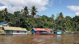 Kampung kecil suku Dayak Muslim di pedalaman sungai Barito. Bersih & hijaunya Desa Jangkang Lama.