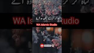 short video  Short video feel  WA Islamic Studio Islamic Video