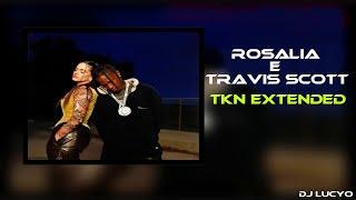 ROSALÍA & Travis Scott - TKN - Reggaeton EXTENDED Remix prod. dj lucyo