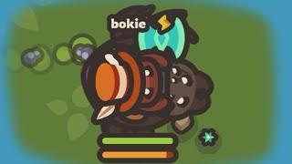 black POISON SPIDER op - Taming.io