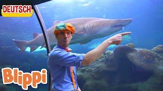 Blippi Deutsch - Blippi im Aquarium   Abenteuer und Videos für Kinder