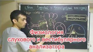 физиология слухового и вестибулярного анализатора.physiology of the auditory and vestibular analyzer