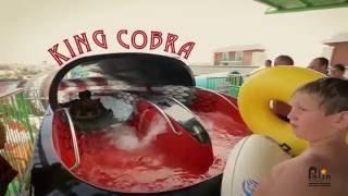 King Cobra at Crystal Water World Antalya Turkey