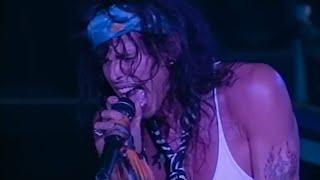 Aerosmith - Live  Pittsburgh PA 1993