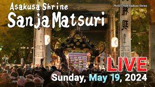 【Live】 Sanja Matsuri at Asakusa Shrine. Stay tuned for one of the most famous festival in Japan