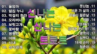 신나는 신나는 트로트  KPOP  TROT   PLAYLIST 꽃길.상사화.여인의 눈물.회룡포.바람길...