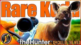 RARE Kudu ... But The Wrong One   theHunter Call of the Wild