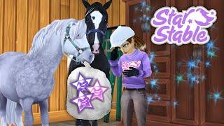 Star Stable Selling 150+ Items & Shopping Massive Closet Clean Out 