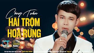 Hái Trộm Hoa Rừng Công Tuấn Bolero - Công Tuấn x Hoàng Xuân x Ghiền Nhạc Rumba