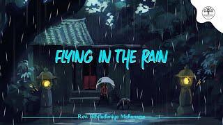 Flying In The Rain -  Relaxing Music  Healing Music  Smooth Music