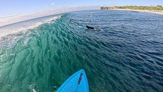 Epic Afternoon Surf at Balangan Beach  Perfect Waves for Beginners & Intermediates