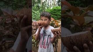 Peeling of coconut husk and breaking its shell  drinking coconut water #shorts #amazingthings