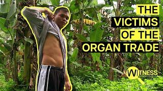 Organ Thieves Inside the Dark World of Organ Trafficking  Organ Trade Documentary