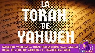 LA TORAH DE YAHWEH -  Yahshua la Torah Hecha Carne