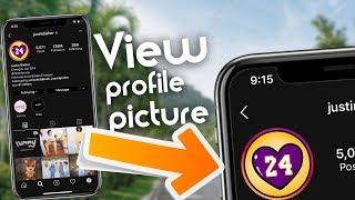 How to See Instagram Profile Picture