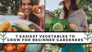 7 Easiest To Grow Vegetables For Beginners  Gardening 101