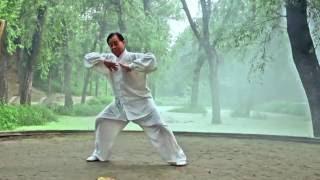 TaiChi Chen Forma 13 Maestro Zhu Tian Cai en Chenjiagou.