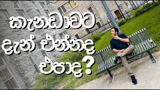 NEW කැනඩාවට දැන් එන්නද එපාද? වැඩියෙන්ම අහන ප්‍රශ්ණ  Ontario  Sinhala Vlog 