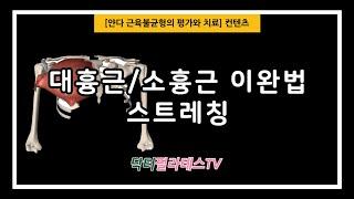 닥터필라테스TV 대흉근소흉근 이완법 스트레칭 얀다 북리뷰