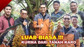 LUAR BISA INI KURMA DARI TANAH KARO 