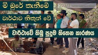 මීමුරේ දන්දෙනි කුඹුර වාර්ථාව  Meemure Dandenikubura Report  Neth Fm Unlimited History 223 -01