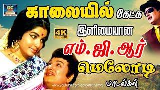 காலையில் கேட்க இனிமையான மெலோடி பாடல்கள்  MGR Tamil Love songs HD.