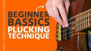 Basic Bass Plucking Technique Beginner Bass Basics