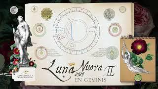 LUNA NUEVA GEMINIS 6 Junio 2024 Aprende y haz despegar tu vida  Todos los signos