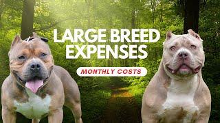 Realistic Costs of Owning a Large Breed Dog Monthly Large Breed Expenses