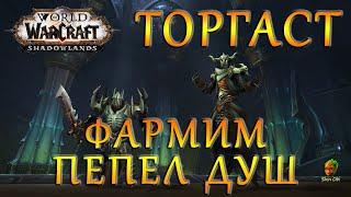 ТОРГАСТ Башня проклятых ФАРМИМ ПЕПЕЛ ДУШ. WOW Shadowlands.