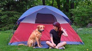 camping in my parents backyard