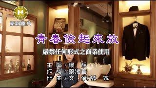 楊靜-青春儉起來放【KTV導唱字幕】1080p