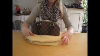 Louis Vuitton Alma bb in Damier Ebene unboxing and reveal